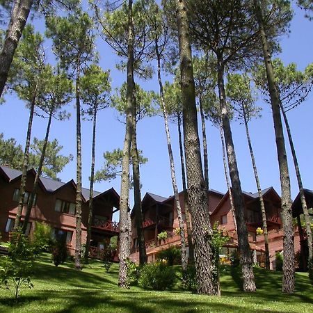 Refugio Del Bosque Villa Carilo Dış mekan fotoğraf