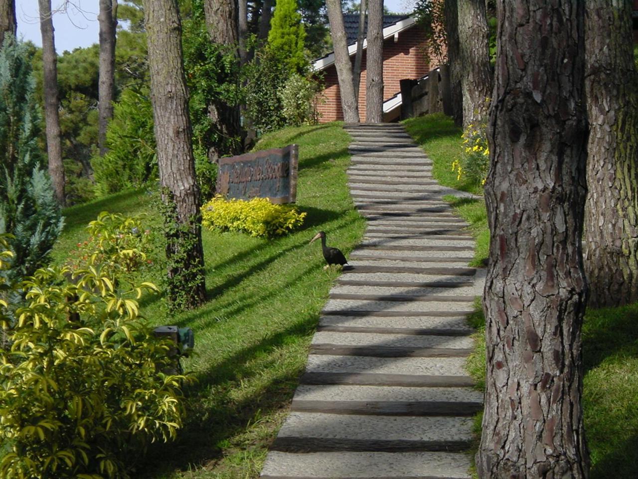Refugio Del Bosque Villa Carilo Dış mekan fotoğraf