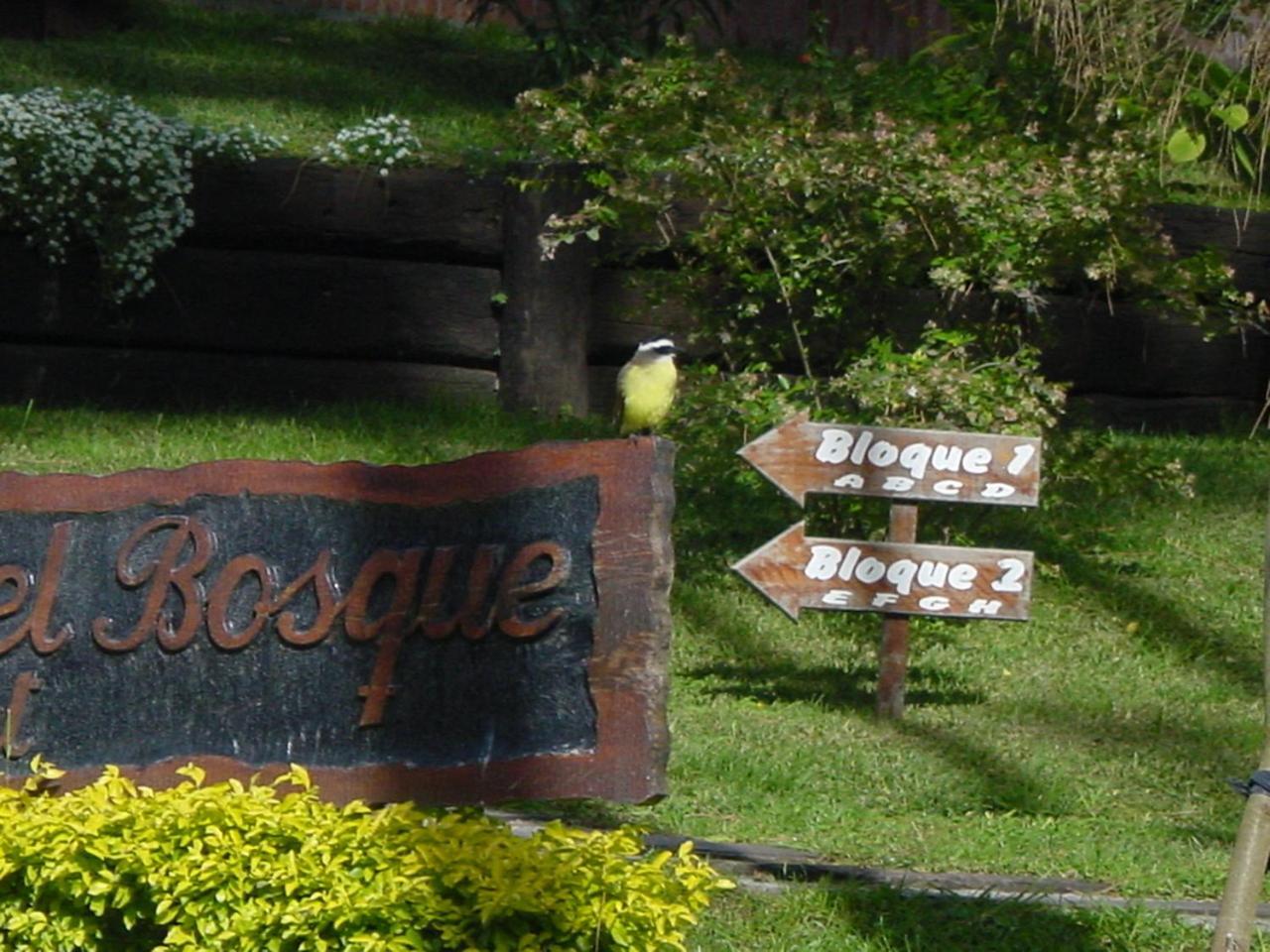 Refugio Del Bosque Villa Carilo Dış mekan fotoğraf