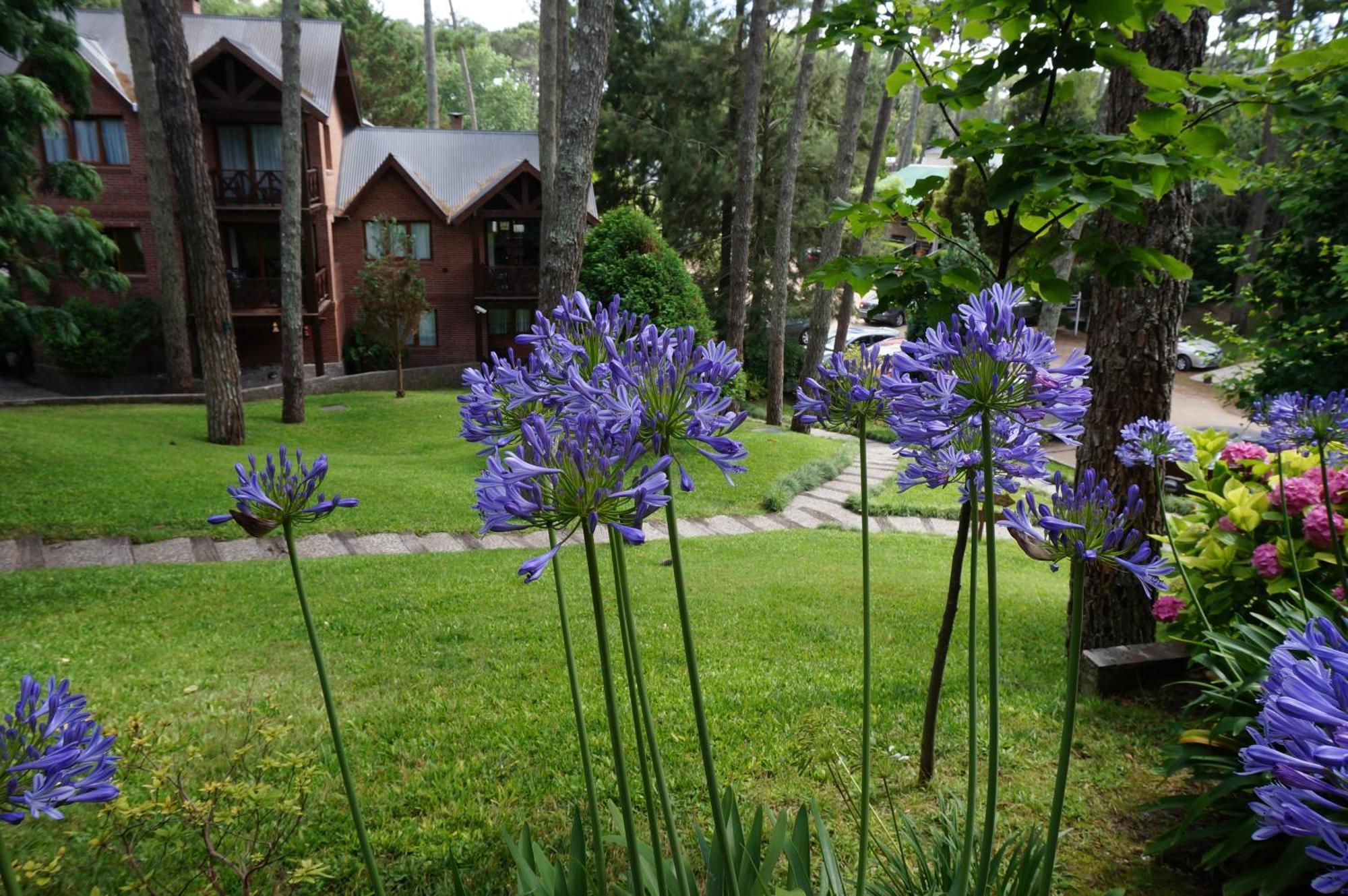 Refugio Del Bosque Villa Carilo Dış mekan fotoğraf
