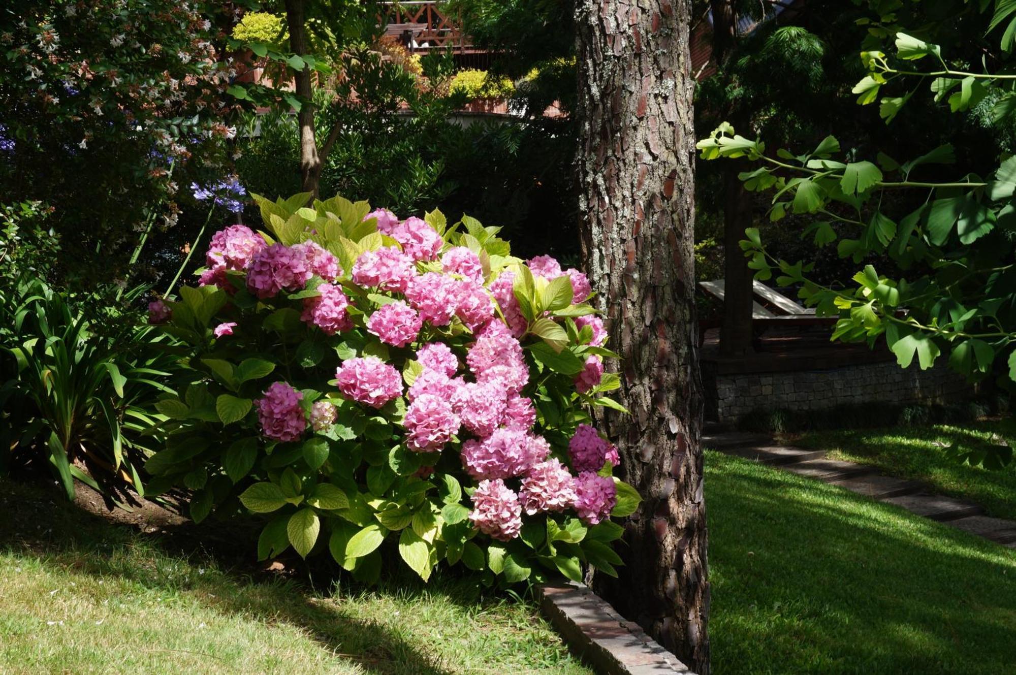 Refugio Del Bosque Villa Carilo Dış mekan fotoğraf
